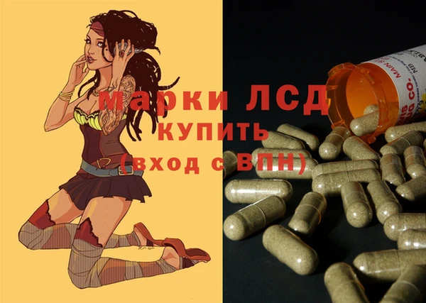 трава Карпинск